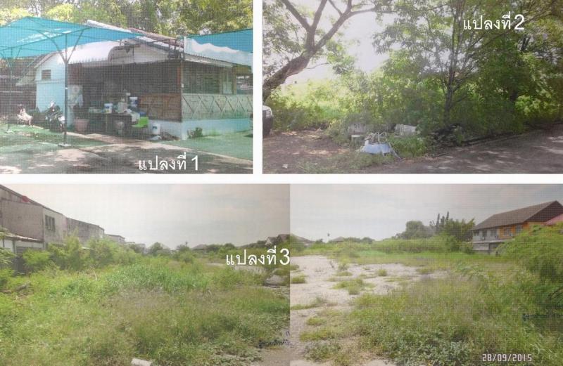 บ้านเดี่ยวหลุดจำนอง ธ.ธนาคารอาคารสงเคราะห์ กรุงเทพมหานคร บางเขน สายไหม