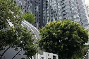 ห้องชุด/คอนโดมิเนียมหลุดจำนอง ธ.ธนาคารไทยพาณิชย์ กรุงเทพมหานคร บางนา บางนาเหนือ